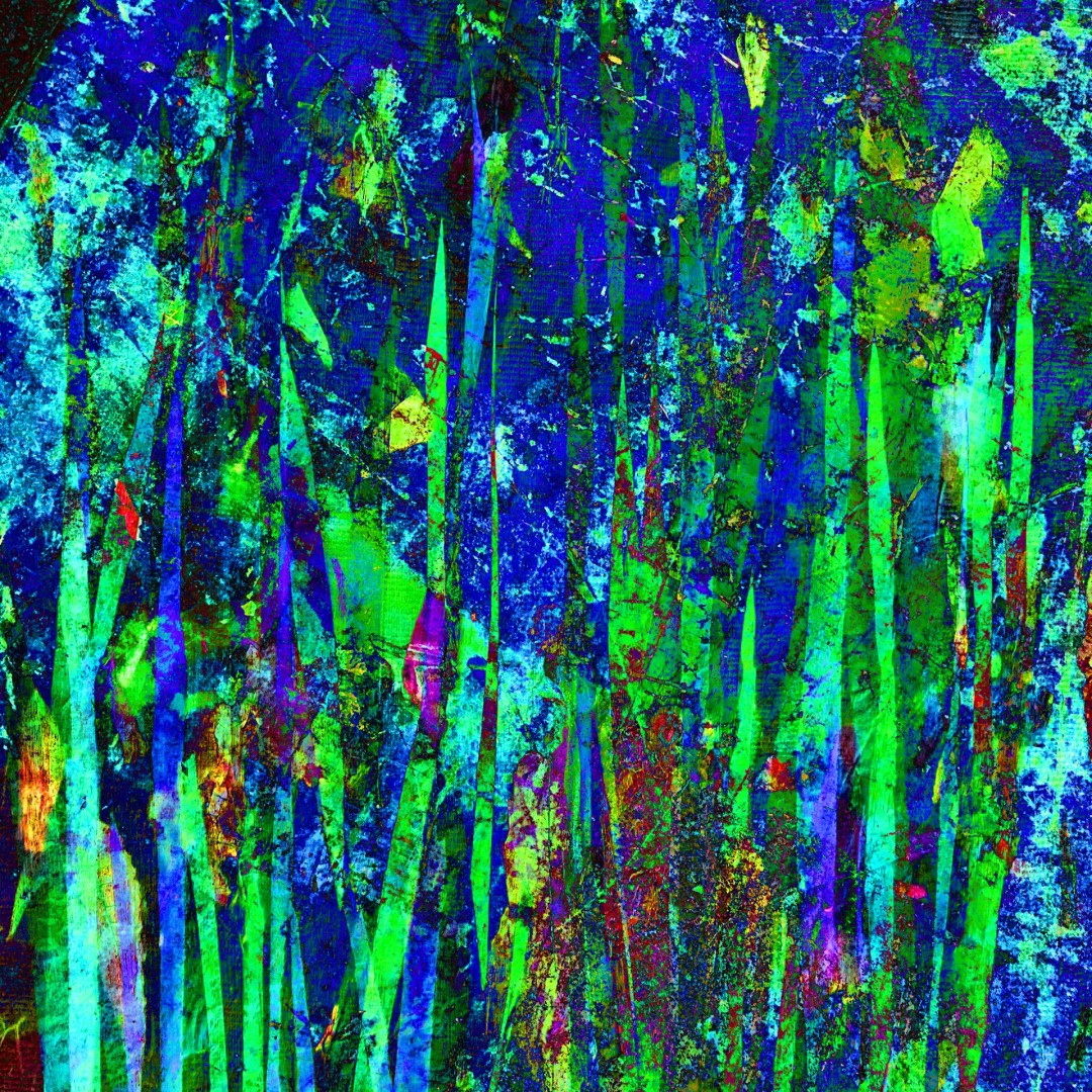 Artist sara risley digital image titled a summer field.